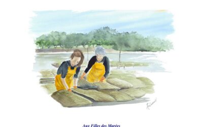 Revue semestrielle N° 50 – juin 2026